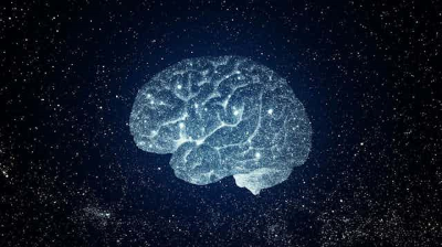 뇌와 우주: 같은 방식으로 진화할까?