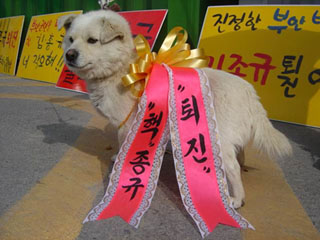 핵사탕 군수 퇴진하라