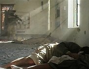 미 해병, 팔루자 비무장 부상 포로 머리 직격탄 발사