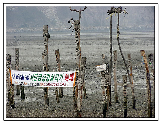 서울행정법원, “새만금 사업 전면 재검토 하라”