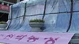 서울시, 서울시예술단 해체 계획 본격화