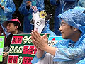 [미친소가 몰려온다] [걱정아젠다] 광우병 위험, 미국산 쇠고기 수입 반대
