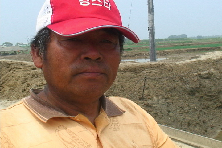 철조망 안 보리 수확하는 날