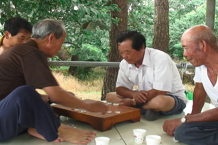 한가로운 토요일, 대추리