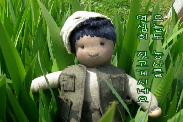 인형들의 대추리 이야기