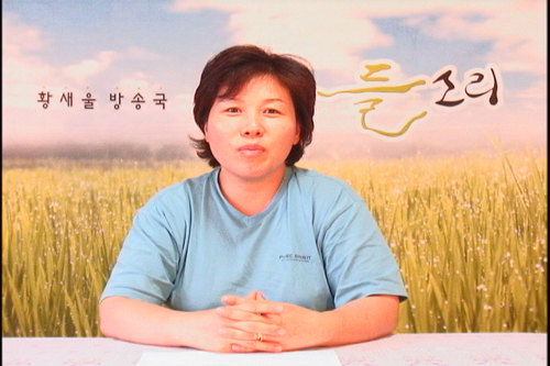 [다른시각 다른분석] 대추리의 낮은 울림 – 들소리