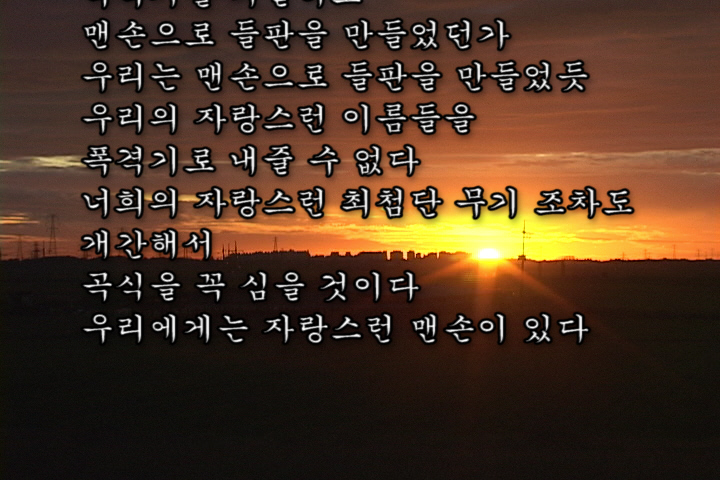 황새울 노을