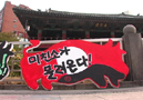 [뉴스] [걱정미디어] 미친소가 몰려온다