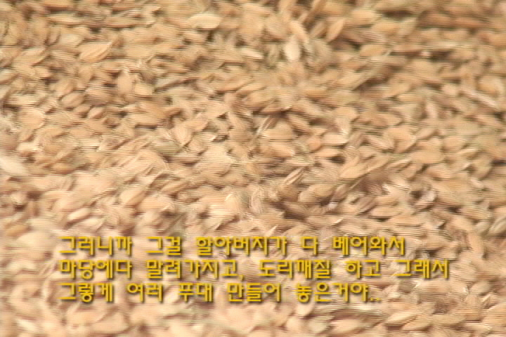 마늘심기 실습/ 방아찧기
