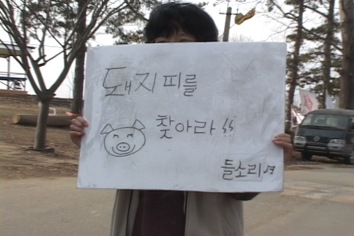 돼지띠를 찾아라!!