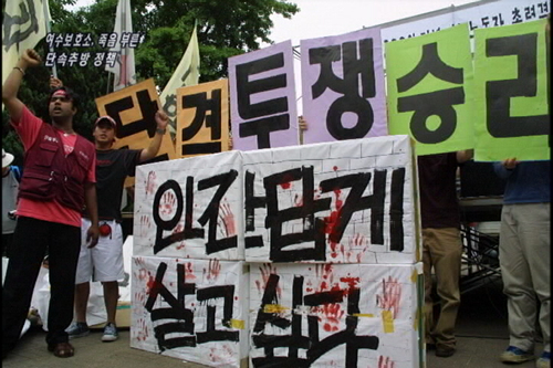 [다른시각 다른분석] 여수보호소, 죽음 부른 단속추방 정책