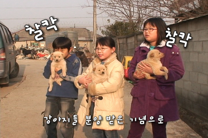 대추리 개분양/ 정부-주민간 합의/김진균상 수상/