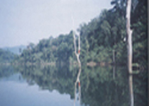 [international] Life as the River Flows
