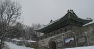 [혁명을 꿈꾼 사람들] 이 강산 아직 죽지 않았으니