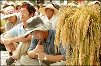 [사회진보연대의 주간지 사회화와 노동] 굶주리는 세계와 곡물가 폭등