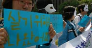 [미친소가 몰려온다] \”미친 소, 미친 교육 막기 위해 등교거부\”