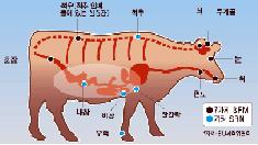 [미친소가 몰려온다] 공포의 현실화, 인간 광우병