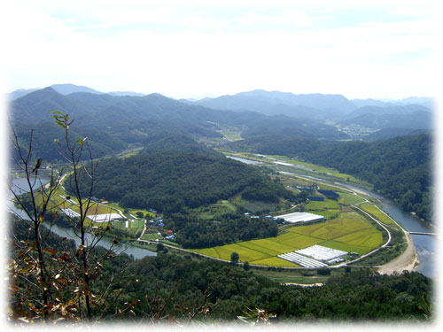[평화누리통일누리] 대전충남평통사 소식