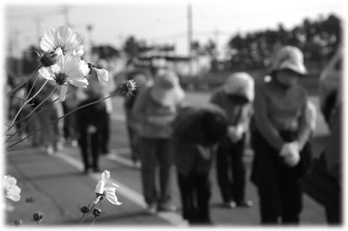 [평화누리통일누리] 무건리에 평화를 / \’어이없는 놈, 이상한 놈, 나쁜 놈\’ 이상희 / 길에서 발견한 희망 – 오체투지 순례길