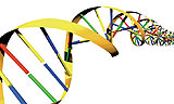 국가의 전국민 DNA 관리 현실화되나