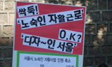 노숙자 일자리 빼앗아 서울을 ‘디자인’한다고?