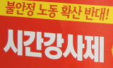 대학 시간강사 제도 개선 방안, 속 빈 강정