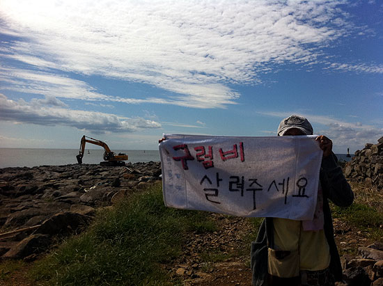 제주해군기지 공사 막으러 자원봉사자 구럼비로