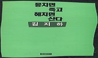[낡은책] 김지하의 변곡점과 고백