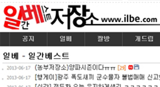 누가 왜, 일베에 접속하는가?