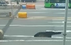 “5일 잠실 싱크홀, 삼성물산 9호선 공사 품질관리 문제”