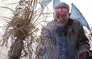 서울 상경 1만 농민 쌀 태우며 한-중FTA 반대