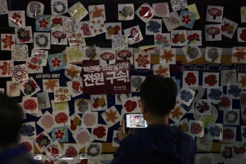 시위와 ‘평화 프레임’