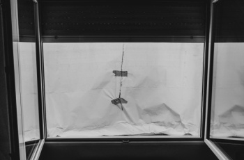 15년간의 내부 고발, “다시 싸워보려 합니다”