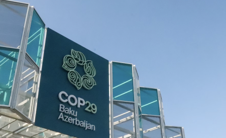COP29 협상 난항으로 새롭게 부상한 개혁 요구